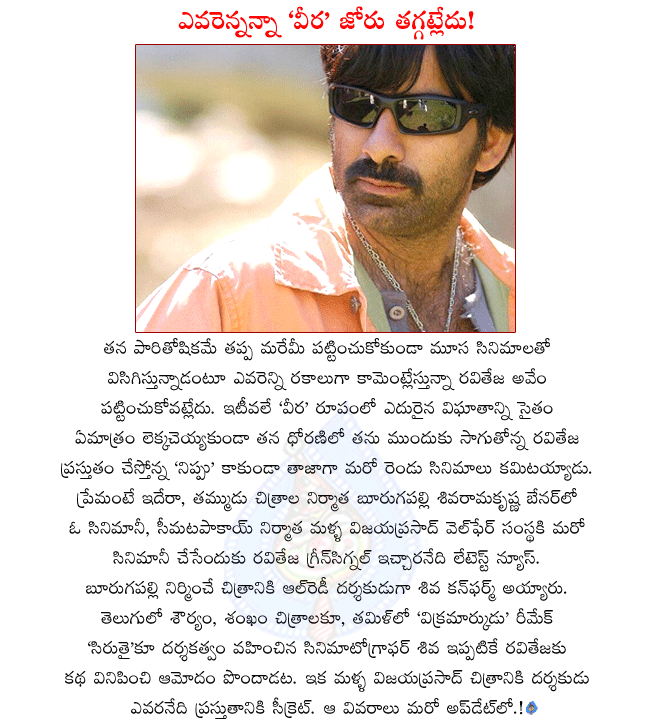 raviteja latest movies,raviteja in veera,raviteja in nippu,nippu director gunasekhar,raviteja committed two movies,seematapakay producer doing a film with raviteja,boorugupalli sivaramakrishna doing one film with raviteja,shiva directing raviteja  raviteja latest movies, raviteja in veera, raviteja in nippu, nippu director gunasekhar, raviteja committed two movies, seematapakay producer doing a film with raviteja, boorugupalli sivaramakrishna doing one film with raviteja, shiva directing raviteja